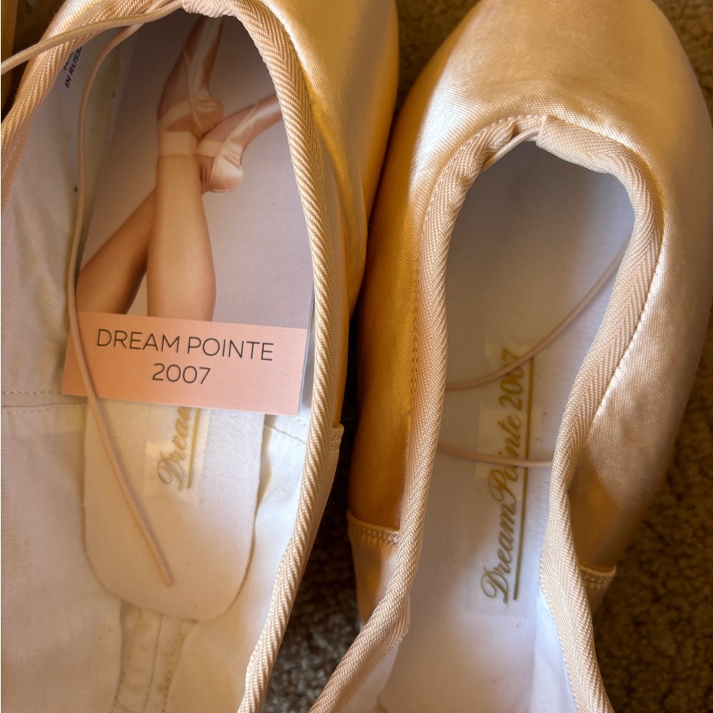 Nikolay Dreampointe size6.5 pointe shoes